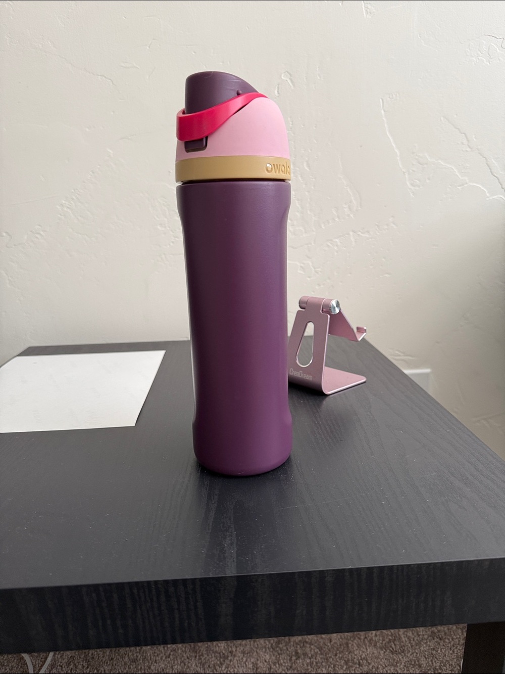 Insulated Travel Bottle in Plum with Pink & Gold Accents